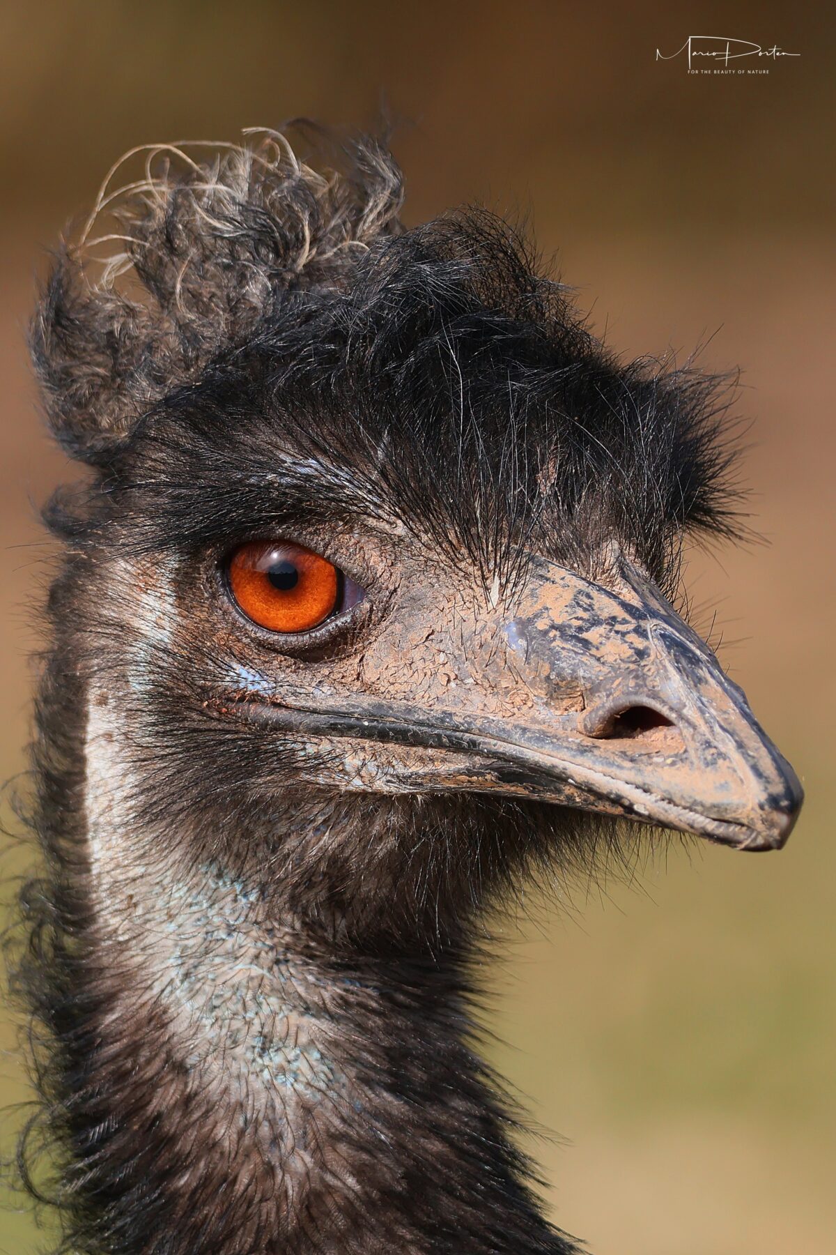 Zoofotografie: Zoo Arche Noah Grömitz 17.03.2026